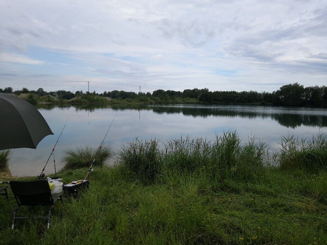 Schnellweiher (Binswangen) angeln