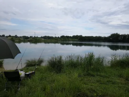 Schnellweiher (Binswangen)