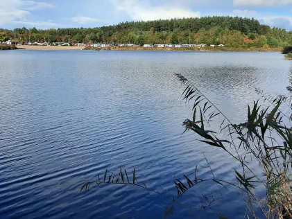Kransburger See