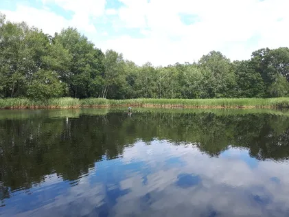 Liptener Teich