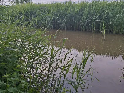 Braakstrom (Altenbruch)