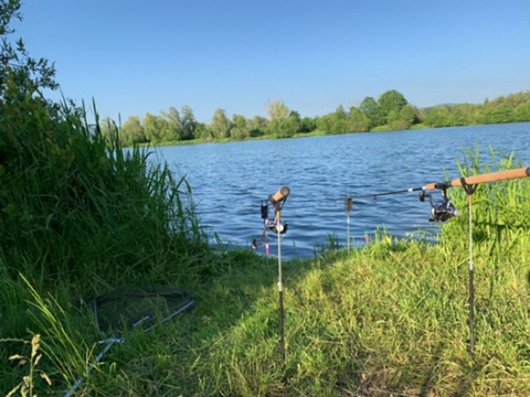 Baggersee Mainauen (Kulmbach) angeln