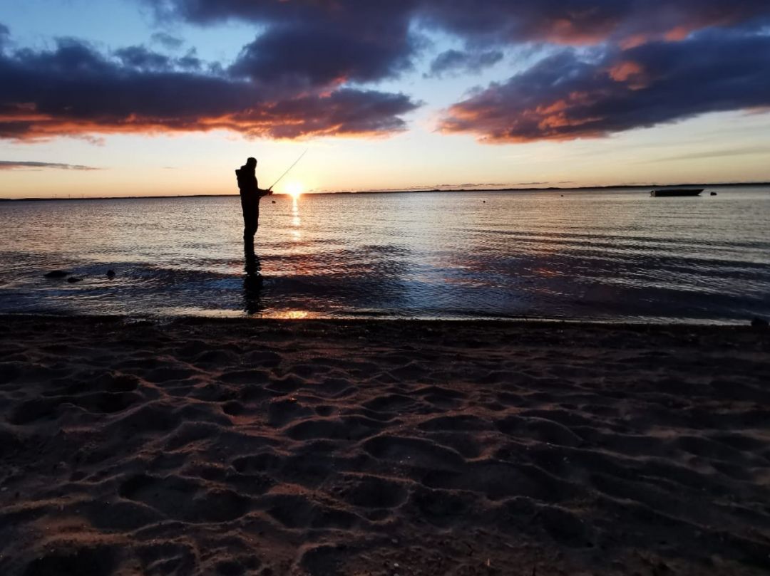 Venø Bugt angeln