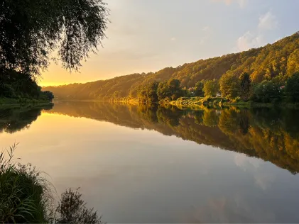 Elbe (Pirna)