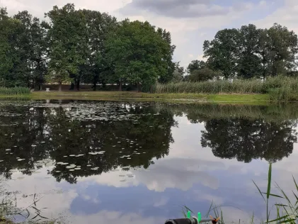 Flut Arnsnesta