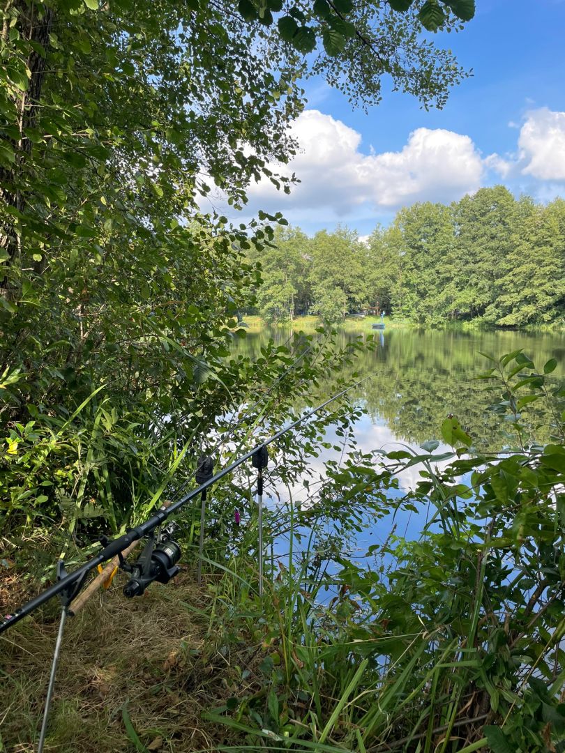 Baarer Weiher angeln