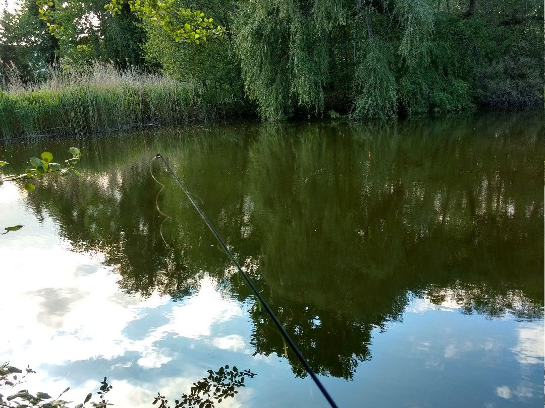 Tongrube Leisenau (Inselteich) angeln