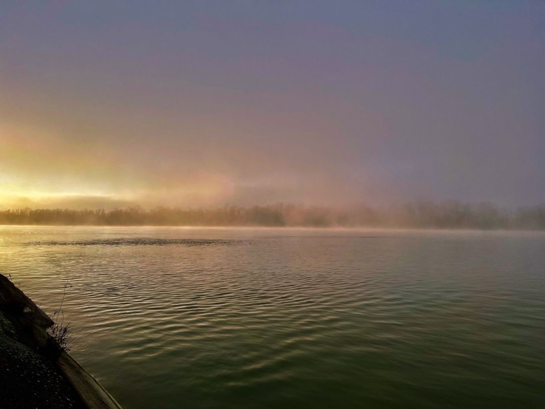 Rhein (Weil am Rhein) angeln