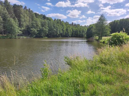 Libbichteich