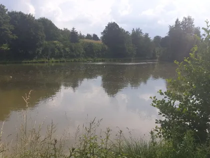 Nesselbachteich