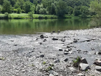 Elzbach (Moselkern)