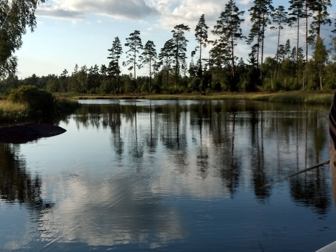 Vitasjön angeln