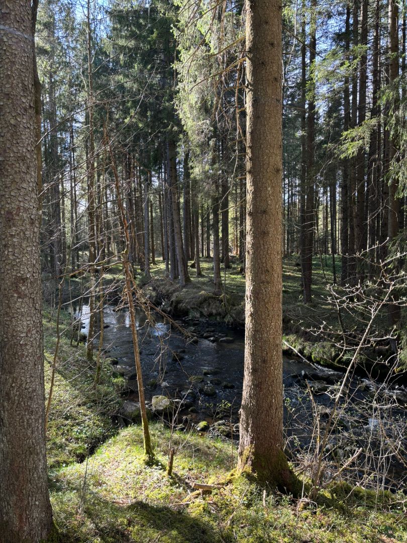 Ach (Bad Bayersoien) angeln