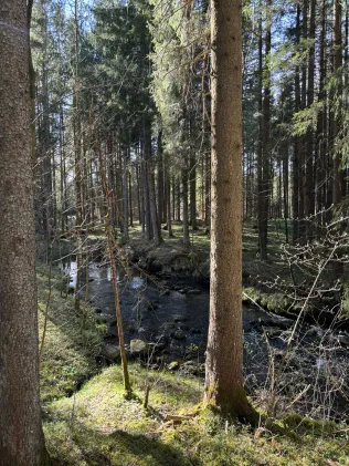 Ach (Bad Bayersoien)
