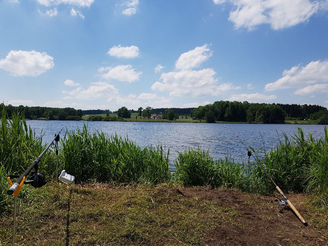 Obersee (Kißlegg) angeln