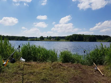 Obersee (Kißlegg)