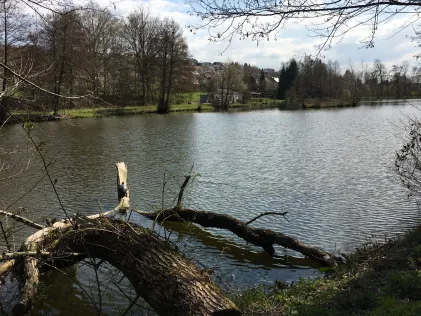 Vereinsgewässer ASV Marpingen