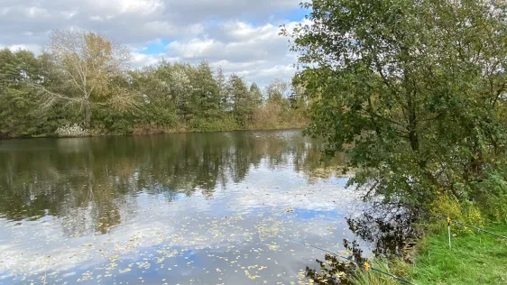 Hohorster See