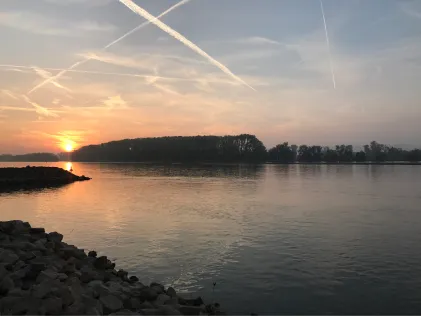 Rhein (Rüdesheim)