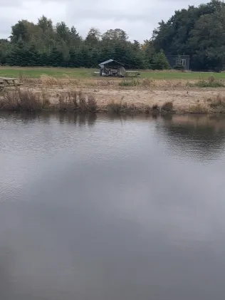 Rens Fiskeri