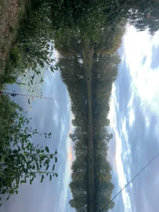 Teich Diethe