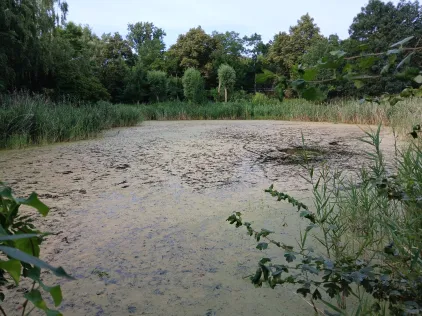 Feuchtbiotop Holzweißig