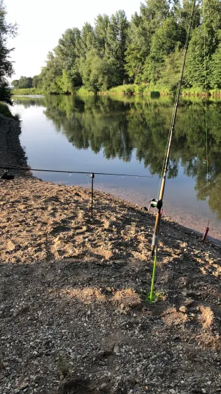 Saale (Leuna)