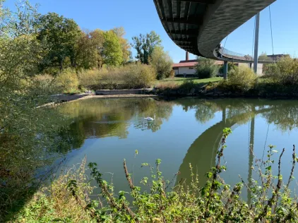 Neckar (Neckartenzlingen)