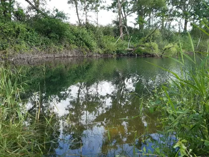 Lohfert See