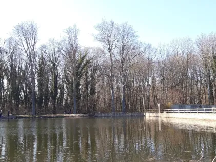 Parkteich Braunsbedra