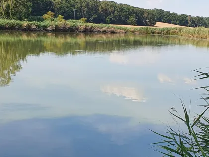 Rohrweiher (Höchstadt)