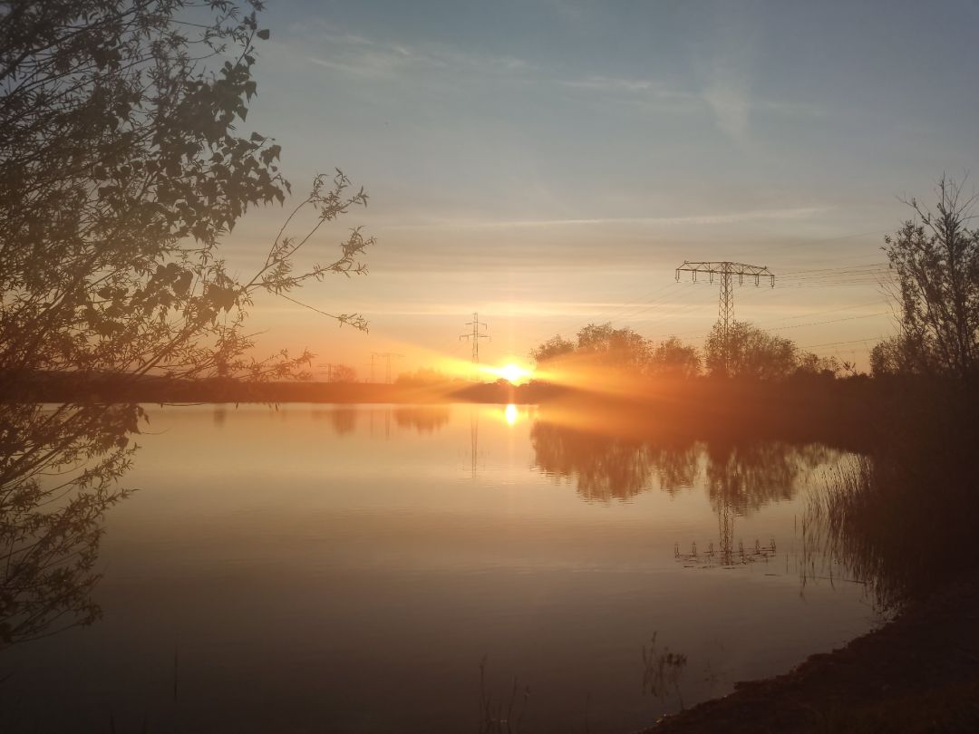 Plötzensee (Geratal Kies) angeln