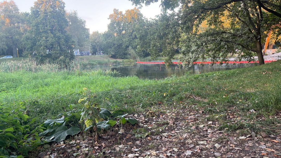 Septimerbecken (Berlin) angeln
