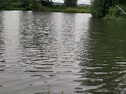 Pappelteich Ermsleben