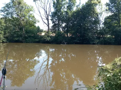Saale (Dornburg-Camburg)
