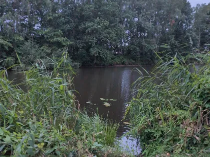 Coevorden-Piccardie-Kanal (Emlichheim)