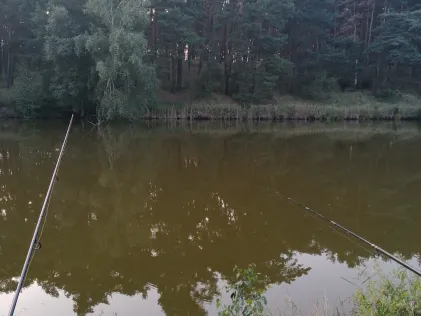 Torfstich Schadow