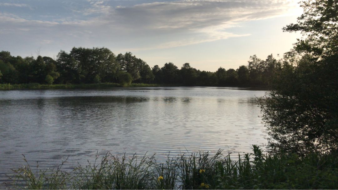 Drögen-Hasen-Teich (Oldenburg) angeln