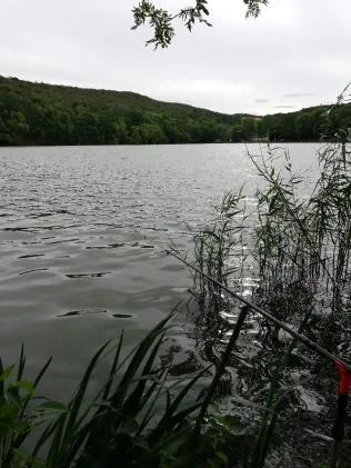 Amtsteich Vatterode