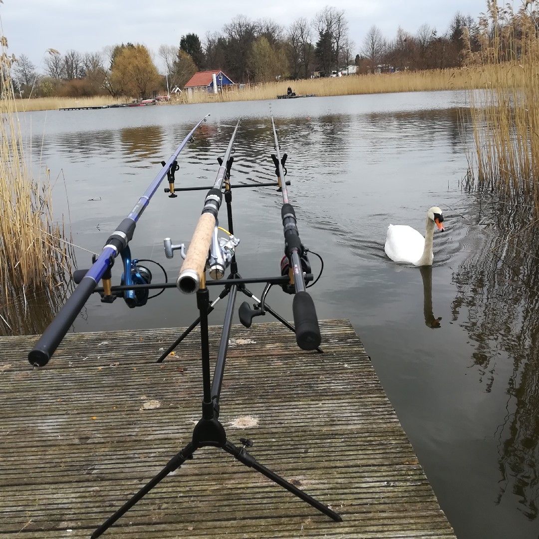 Großer Wariner See angeln