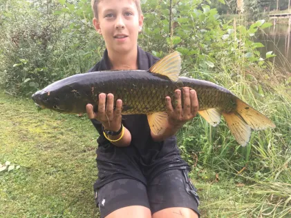 Harmatinger Weiher
