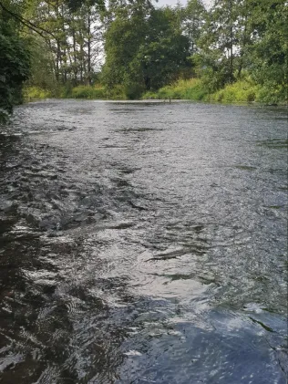 Werra (Wasungen)