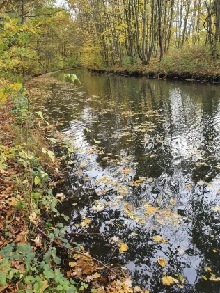 Elstermühlgraben (Leipzig)