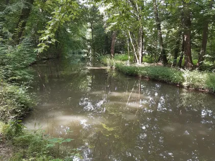 Wyhra (Frohburg)