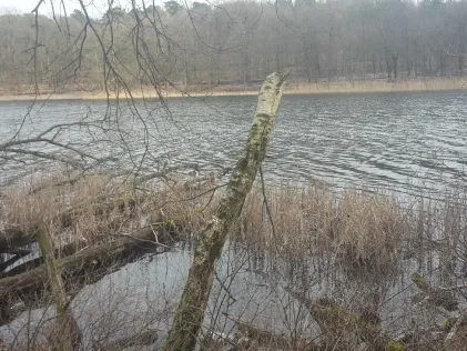 Grunewaldsee