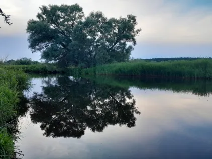 Peenekanal (Neukalen)