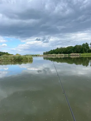 Donau (Tapfheim)