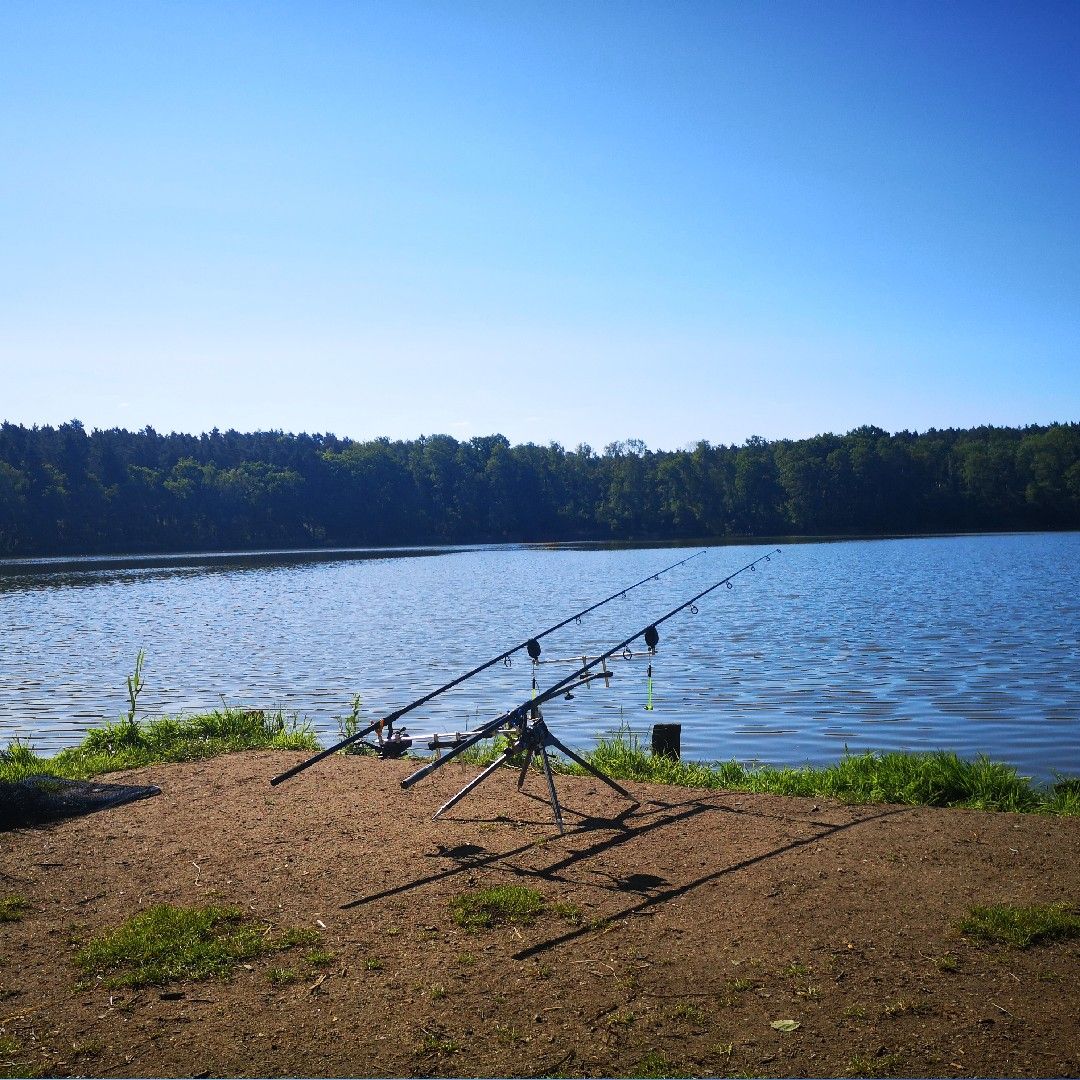 Schenkendöberner See angeln