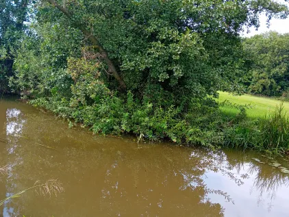 Kleine Spree (Lippitsch)