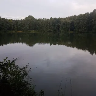 Döringbach